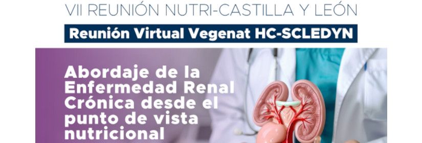 VII REUNIÓN NUTRI-CASTILLA Y LEÓN. Reunión Virtual Vegenat HC-SCLEDYN