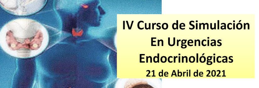 IV Simulation Course in Endocrinological Emergencies