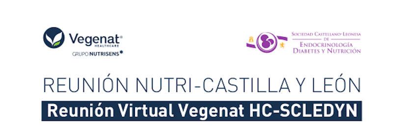 IV REUNIÓN NUTRI-CASTILLA Y LEÓN - Reunión Virtual Vegenat HC-SCLEDYN